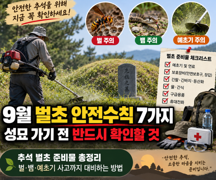 애드센스 수익화 티스토리 블로그