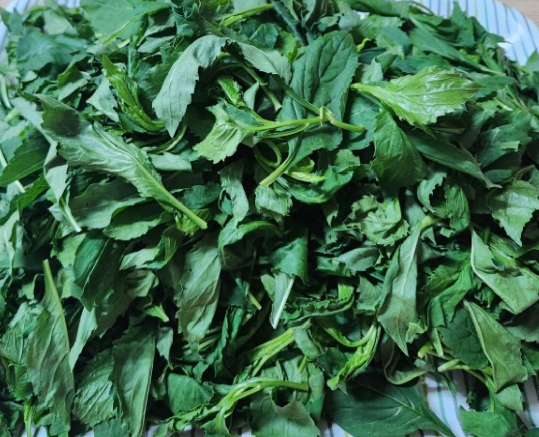 2월 제철음식 취나물 알아보기