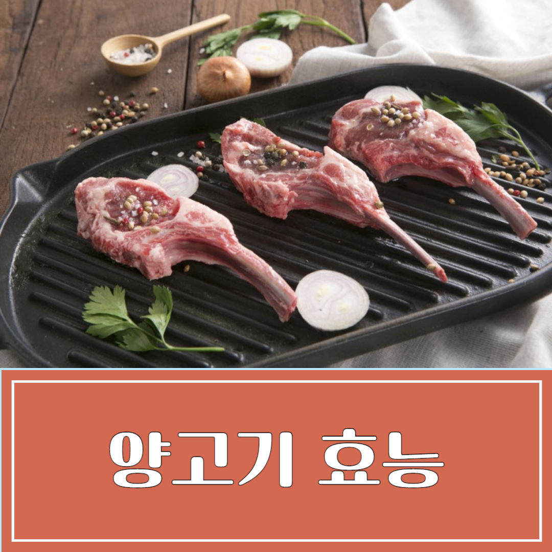 양고기 효능 및 부작용