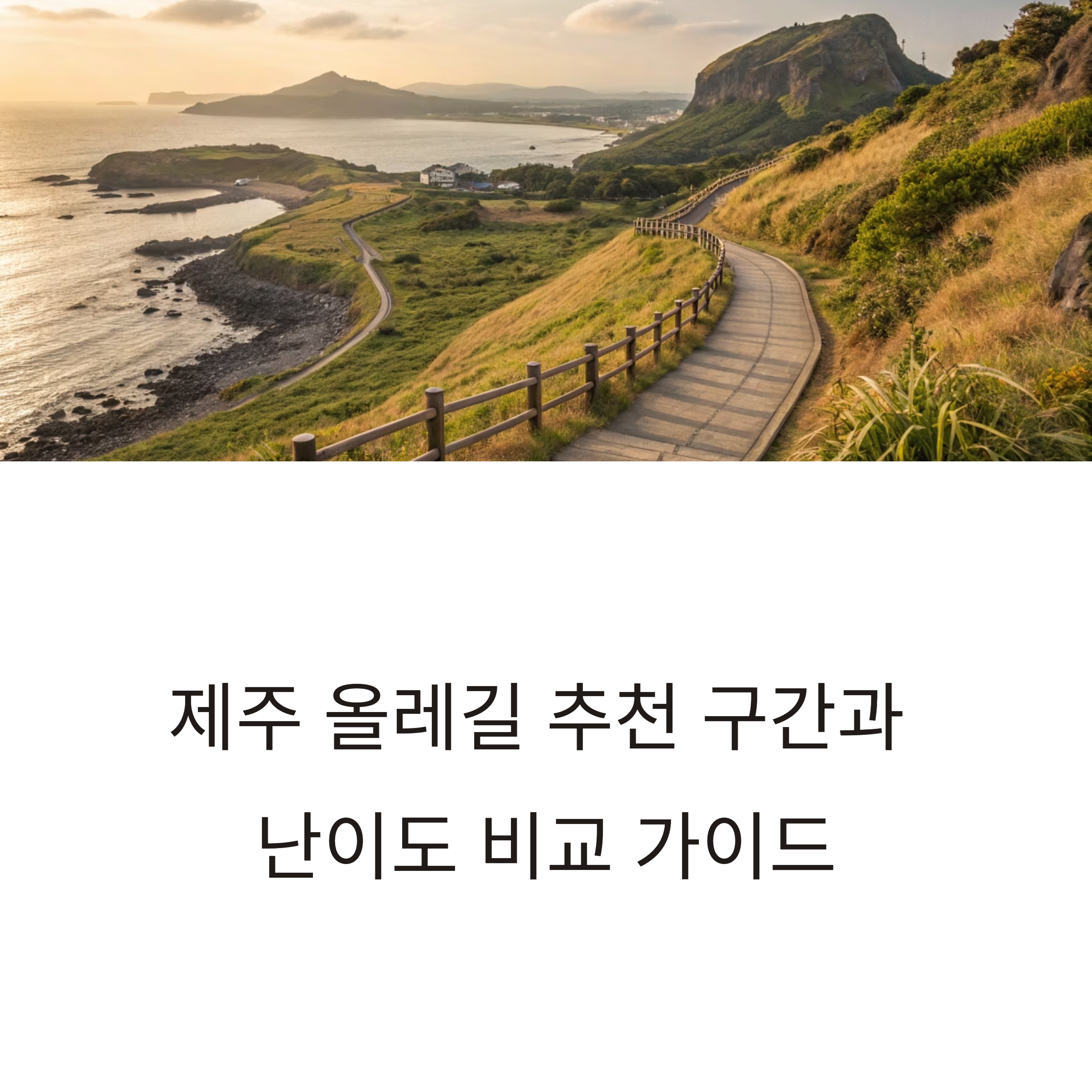 제주 올레길 추천 구간