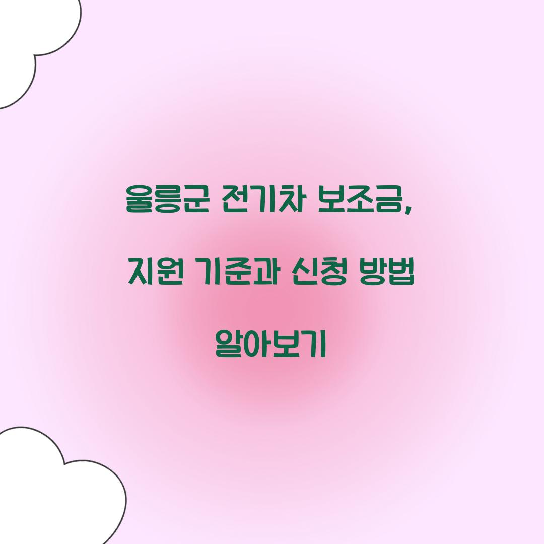 울릉군 전기차 보조금