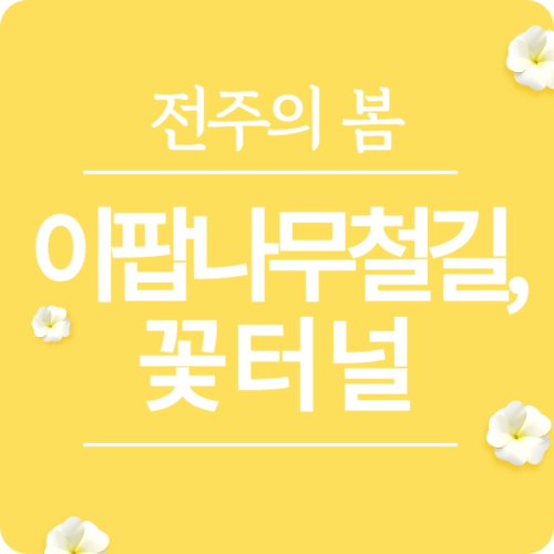 전주시 이팝나무철길