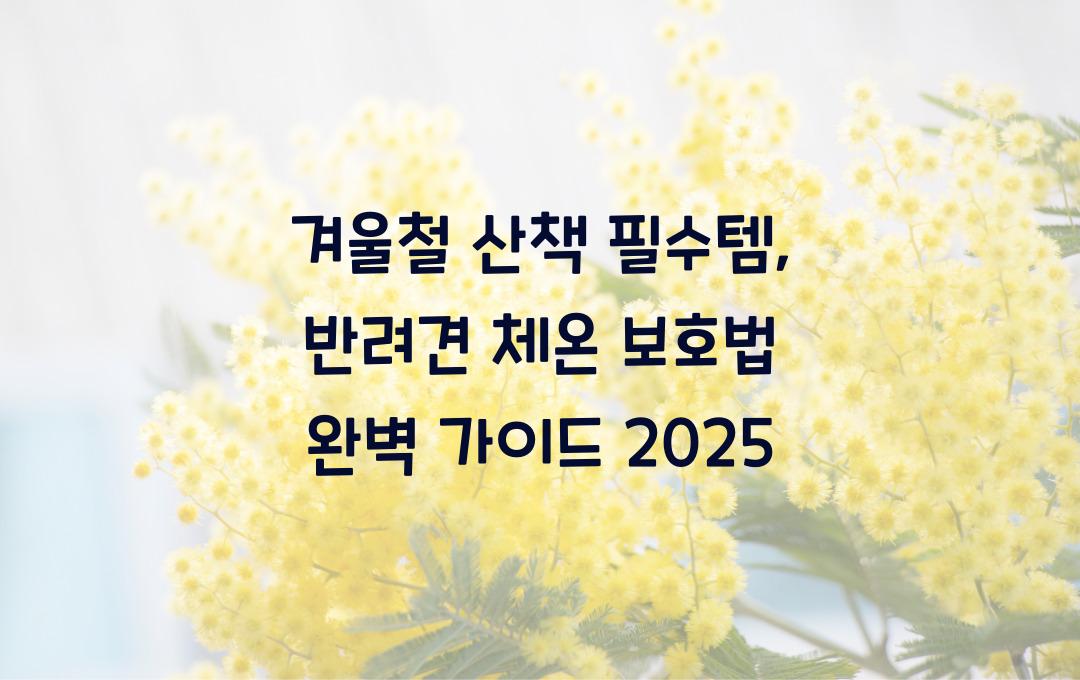 겨울철 산책 필수템, 반려견 체온 보호법