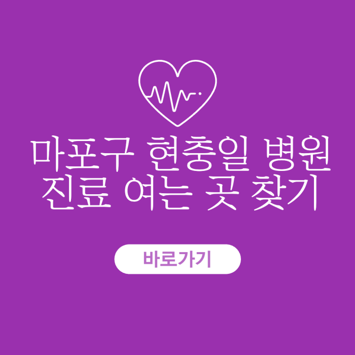 마포구-현충일-병원-진료-여는-곳-찾기