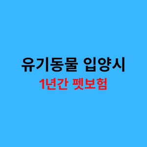 유기견 입양시 펫보험 지원사업을 강조하는 이미지
