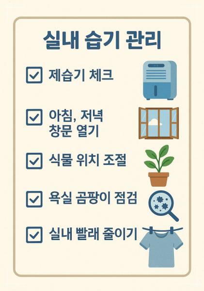 쉽게 실천할 수 있는 습도 관리 방법