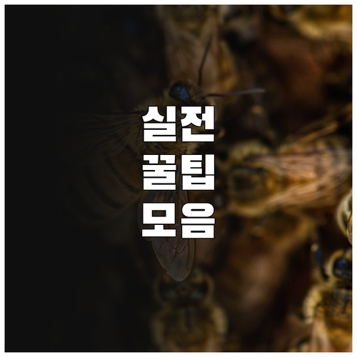 2025년 청과 공판장 지원 사업 신..