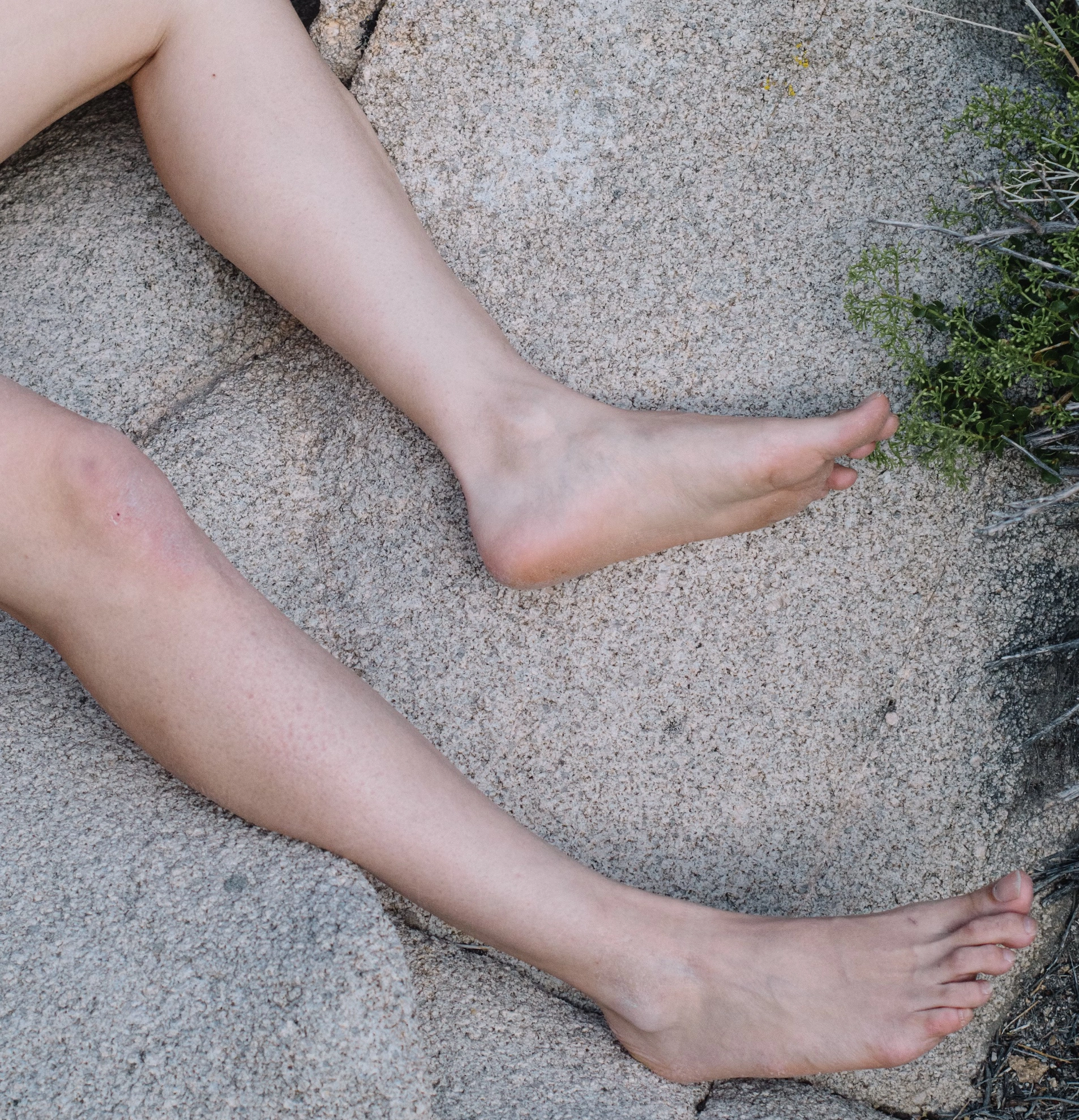 자다가다리쥐 자주날때