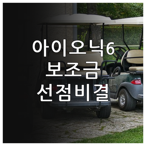 아이오닉 6 N라인 보조금 선점 꿀팁..