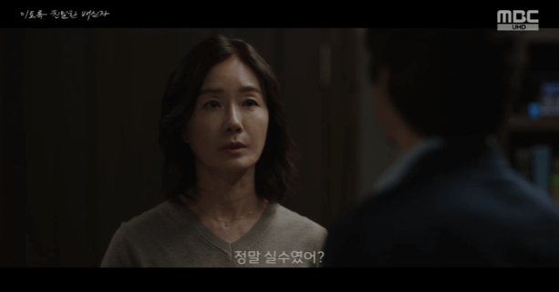 이토록 치밀한 배신자 : 줄거리 총정리 다시보기 등장인물