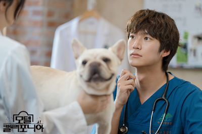 모텔 캘리포니아 ott 원작 몇부작 출연진