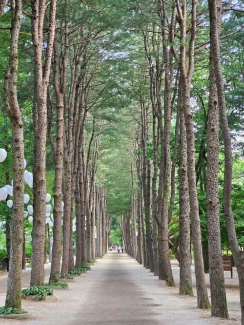 경기도 여행지 추천