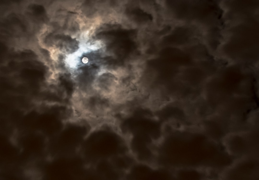 Moonlight