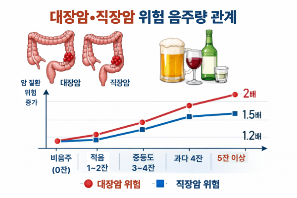 대장암과 직장암 위험 음주량 관계 관한 이미지