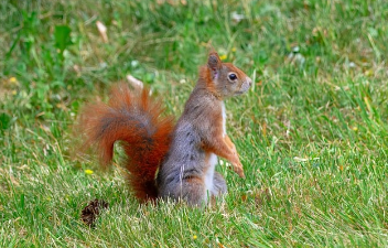 카톡 친구추가하는법 간단 요약 12