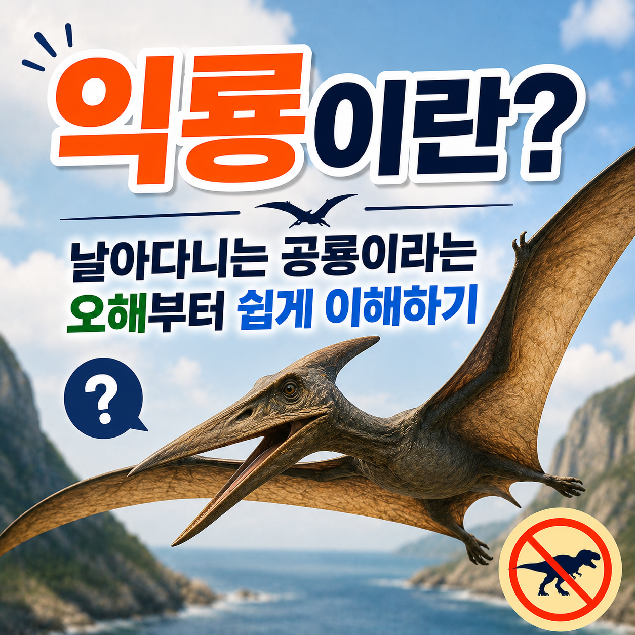 익룡이란