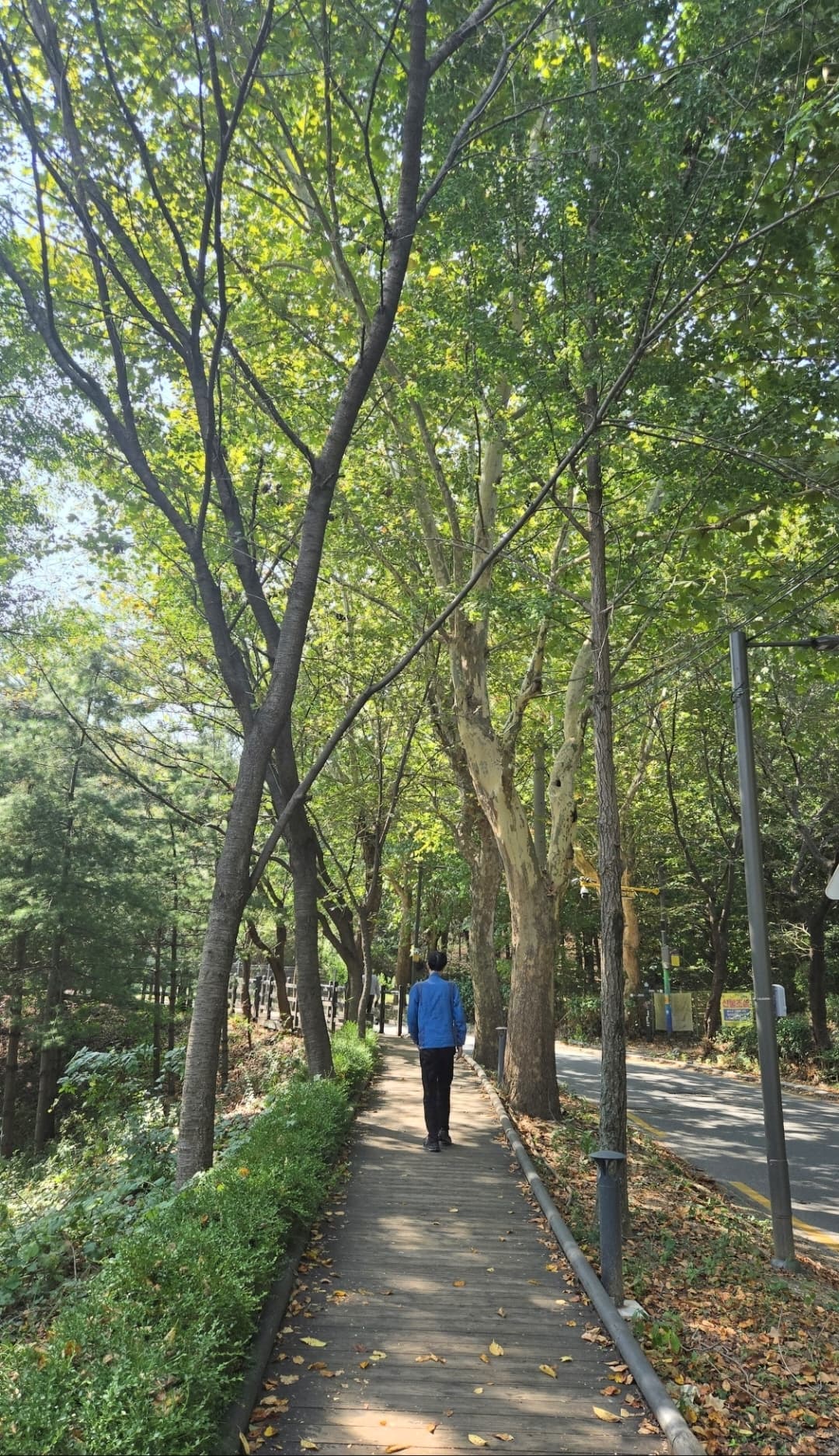 숲길을 걸을 때도 한여름에는 아침부터 땀이 났는데 이제는 걷기 시작할 때의 공기가 제법 상쾌합니다.