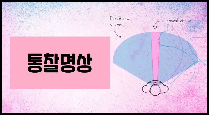 통찰 명상