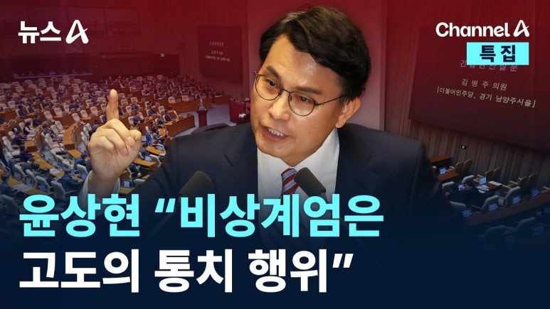 윤상현 제명 청원 2. 비상계엄은 고도의 정치행위