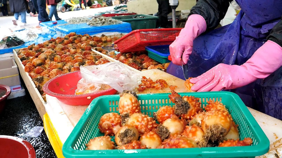 멍게 요리 총정리