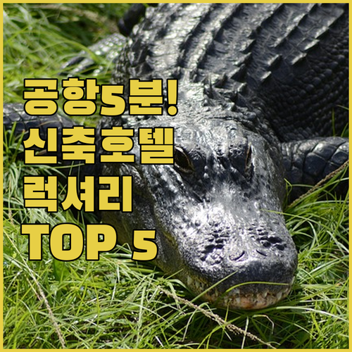 마이애미 공항 5분 컷부터 럭셔리 신..