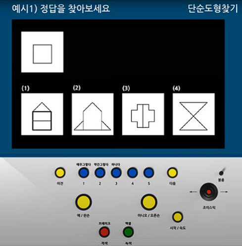 지각성향검사