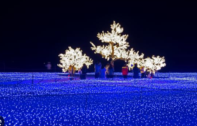부산 해운대 빛축제에서 느낀 겨울 해변의 분위기