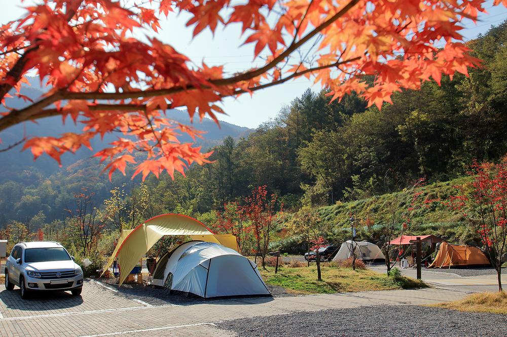 강원도 하이원추추파크 자동차야영장 소개
