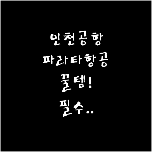 인천공항 파라타항공 제1터미널 이용 ..