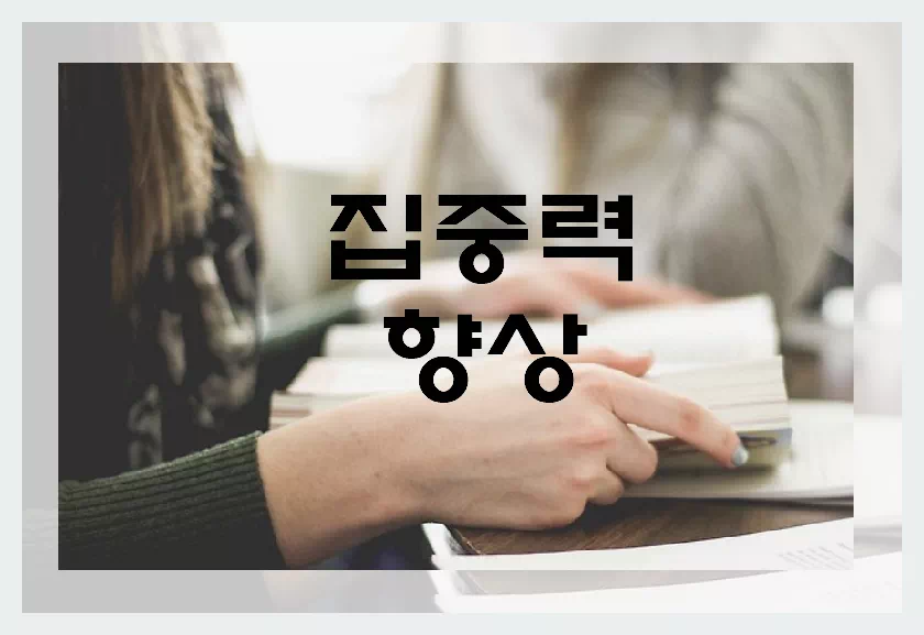 집중려 향상