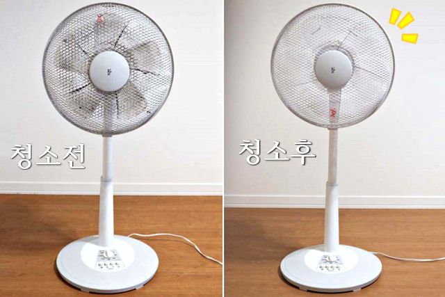 선풍기 청소법, 리빙, 팁줌