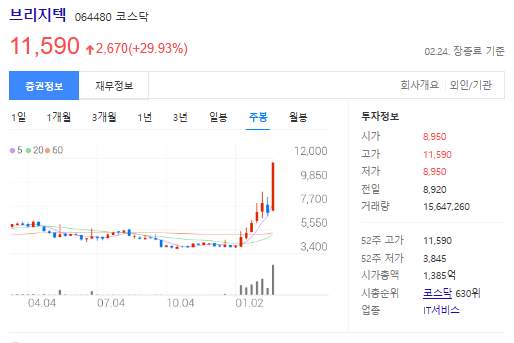 브리지텍-주봉