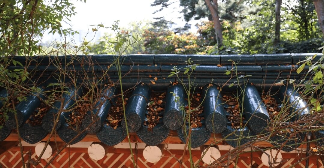 청와대 관람 신청