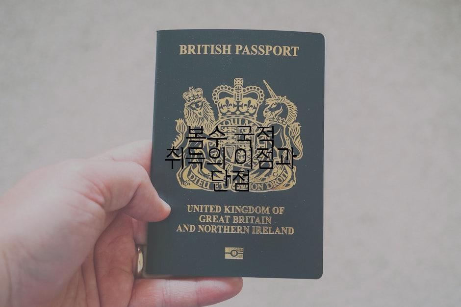 복수 국적 취득의 이점과 단점