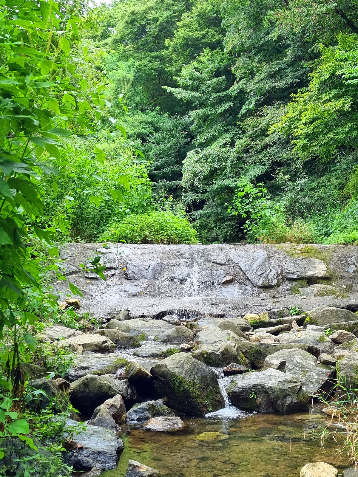서울근교 파주 계곡 보광사: 문화, 역사, 자연이 있는 절과 물놀이하기 좋은 계곡