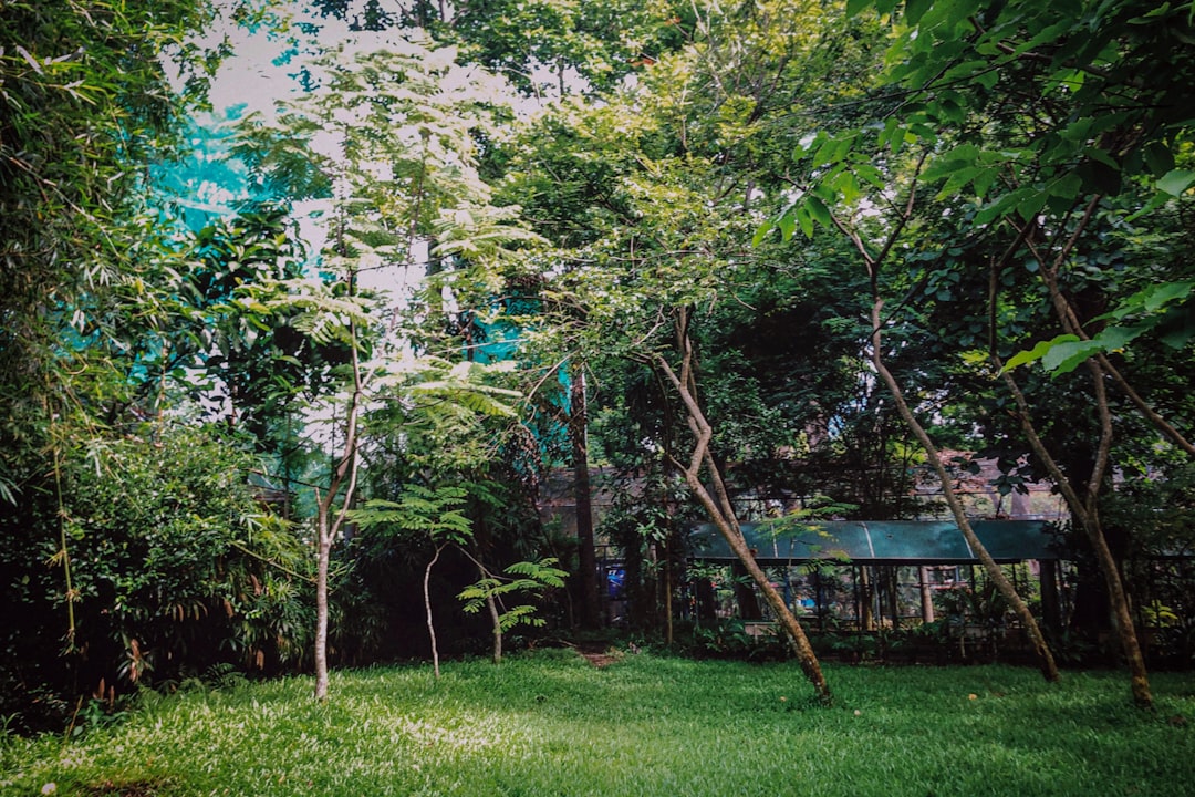 Mokpo
