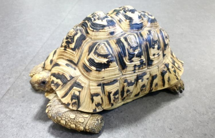 부천 자연생태공원