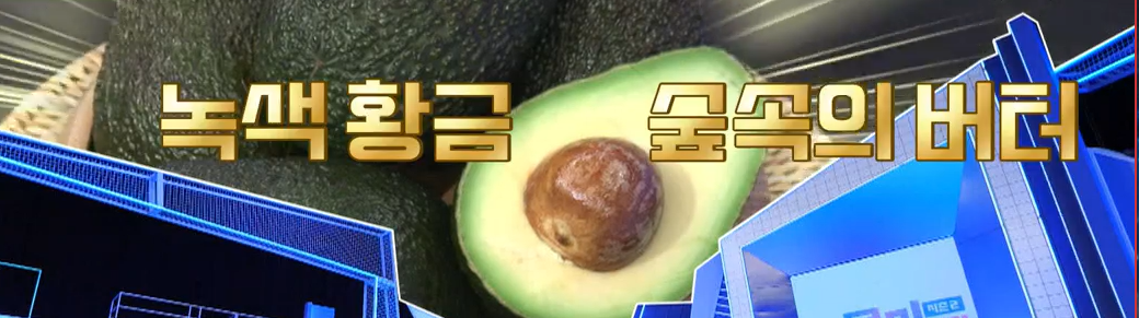 아보카도 효능