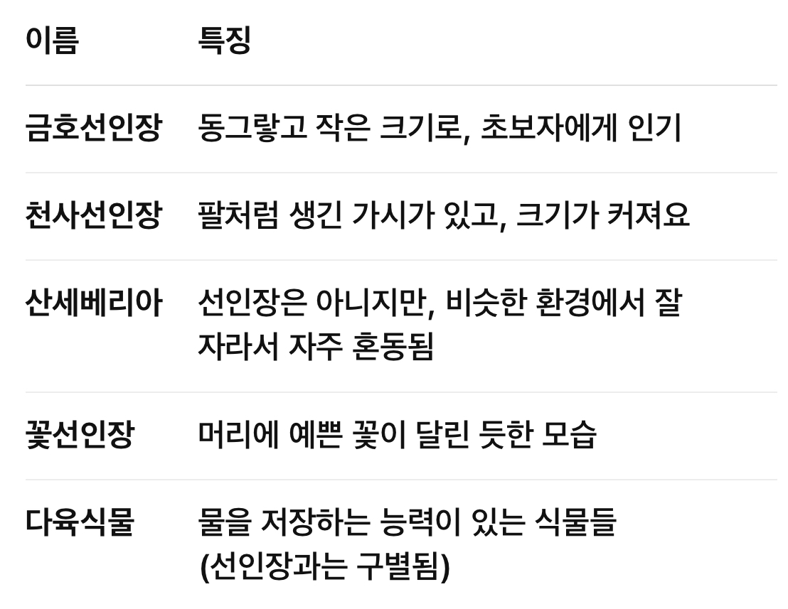 대표적인 선인장 종류