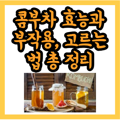 콤부차 효능
