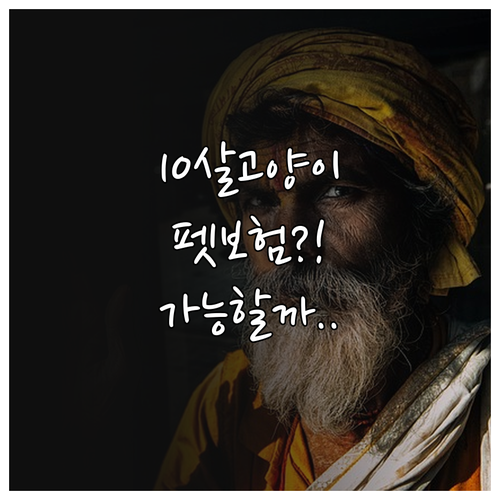 10살 고양이 펫보험 가입 가능할까 ..