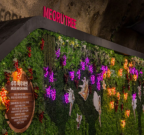 무주 반딧불축제