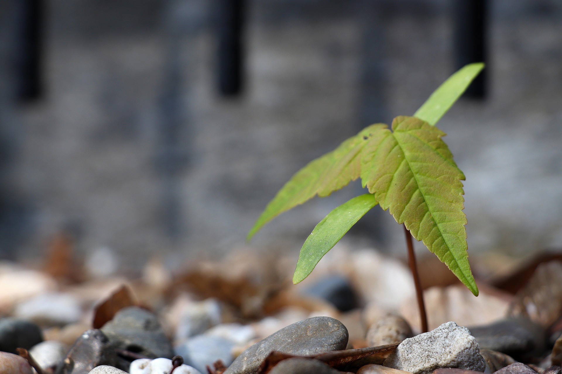 2026년 소상공인 지원금 경영안정 바우처 신청
