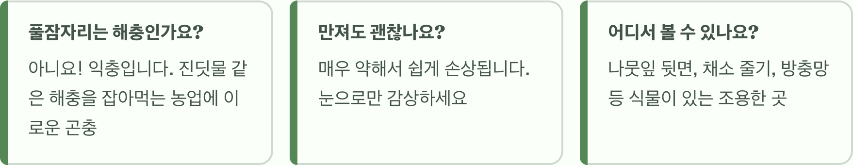 우담바라꽃, 3000년의 신비 vs 풀잠자리 알, 충격적인 정체!