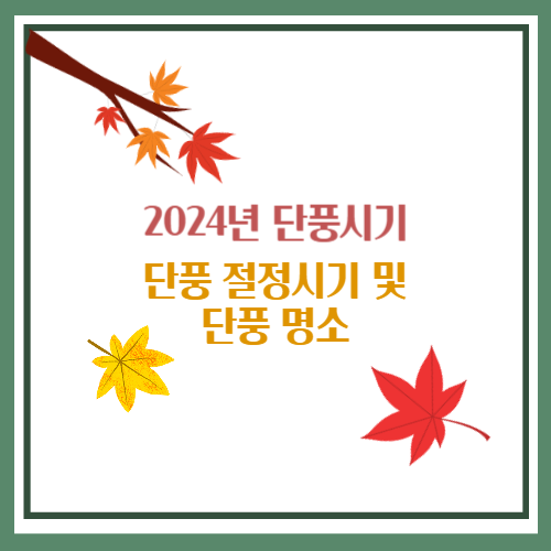 2024년 단풍시기