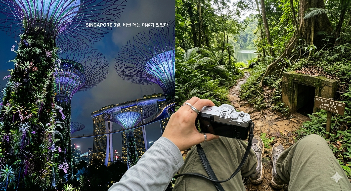 싱가포르 전경 이미지