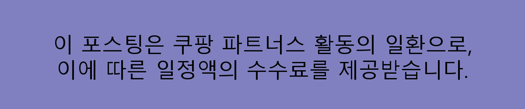 2025 차량용 미니 냉장고 추천 TOP 5