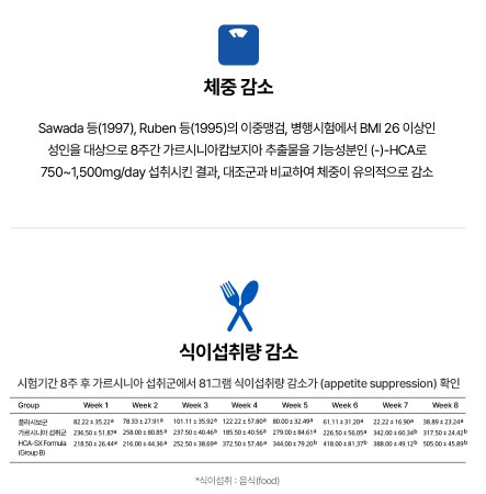 파란통 다이어트 맨올로지 컷