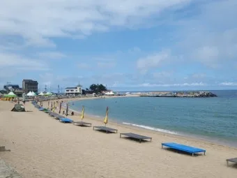 고성 해수욕장 여행 가이드와 스노쿨링 명소 정리_14