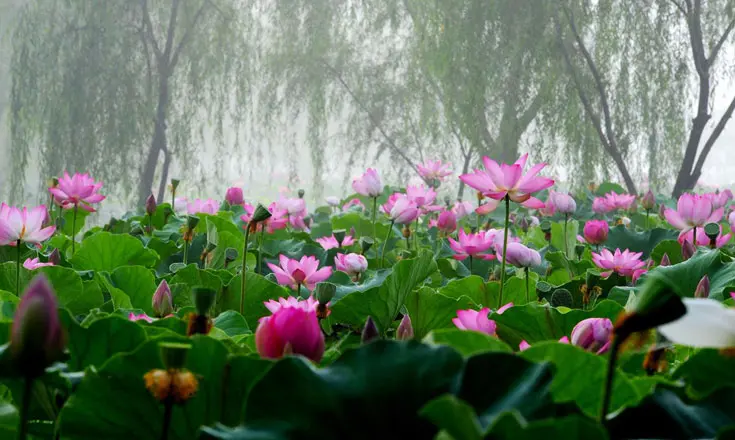 부모님과 떠나는 부여 효도 여행 코스